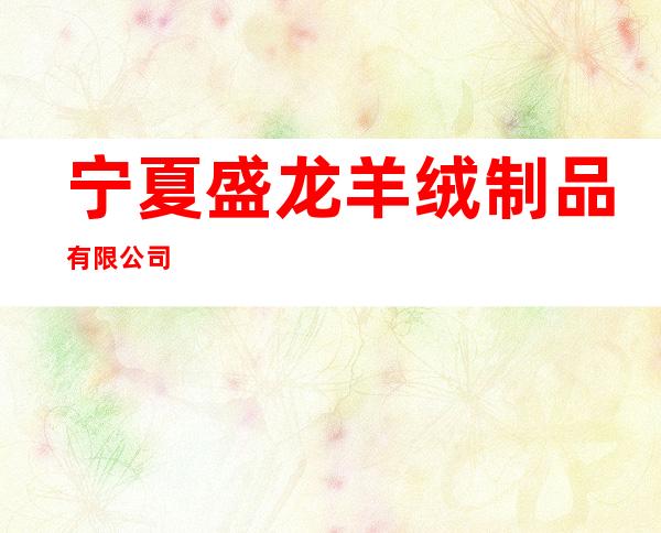 宁夏盛龙羊绒制品有限公司